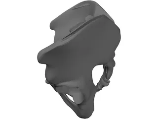 Pelvis and Sacrum 3D Model preview