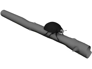Lady Bug 3D Model preview