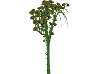 Rose Flower 3D Model preview