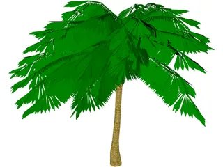 Palm Tree 3D Model preview