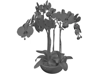 Orchid 3D Model preview
