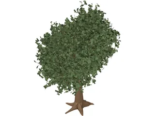 Oak Tree 3D Model preview