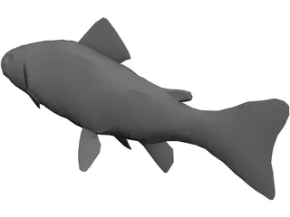 Rainbow Trout 3D Model preview
