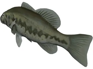 Bass 3D Model preview