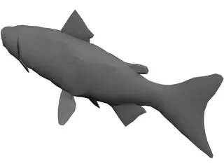 Salmon 3D Model preview
