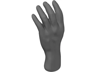Hand 3D Model preview