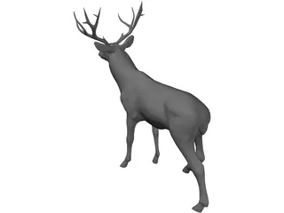 Stag 3D Model preview