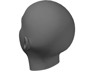 Human Head 3D Model preview