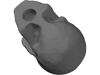 Skull Hollowed 3D Model preview