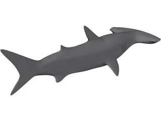 Shark 3D Model preview