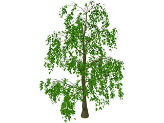 Tree 3D Model preview