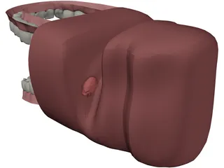 Mouth 3D Model preview
