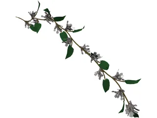 Wine Plant 3D Model preview