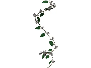 Wine Plant 3D Model preview