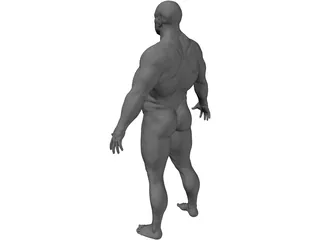 Man 3D Model preview