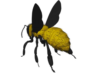 Bee with Fur 3D Model preview