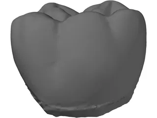 Molar Tooth 3D Model preview