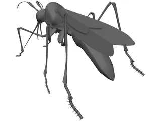Mosquito 3D Model preview