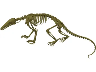 Skeleton Prehistoric 3D Model preview