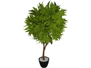 Ash Tree 3D Model preview