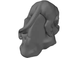 Tiger 3D Model preview