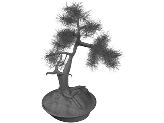 Bonsai Tree 3D Model preview