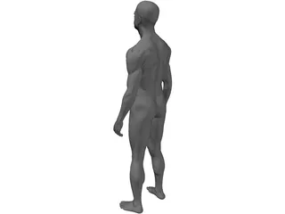 Man Human 3D Model preview