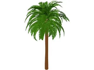 Coconut Tree 3D Model preview