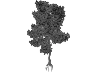 Pinus Coulteri Tree 3D Model preview