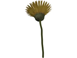 Sunflower 3D Model preview