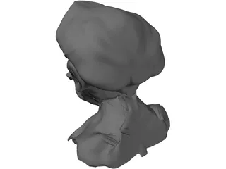 Peasant 3D Model preview