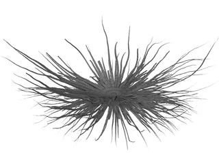 Bacteria 3D Model preview