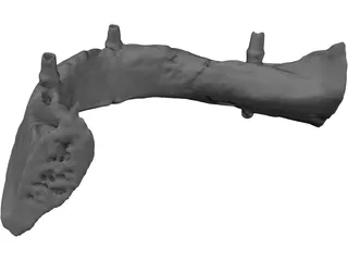 Dental Jaw 3D Model preview