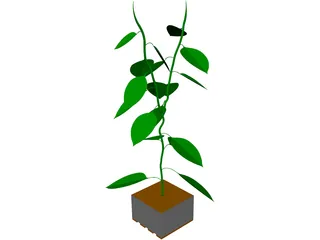 Bell Pepper Plant 3D Model preview