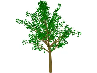 Tree 3D Model preview