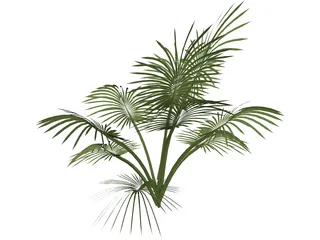 Tree 3D Model preview