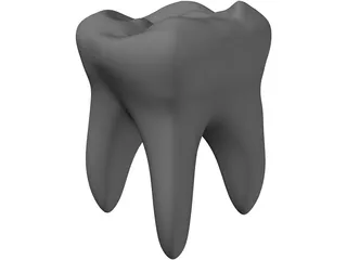 Tooth 3D Model preview