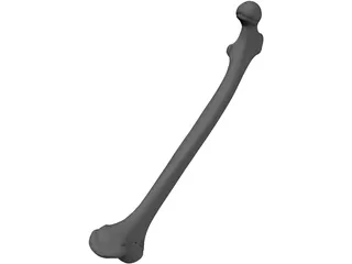 Femur Bone 3D Model preview