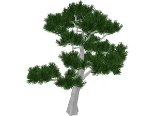 Pine Tree 3D Model preview