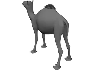 Camel 3D Model preview