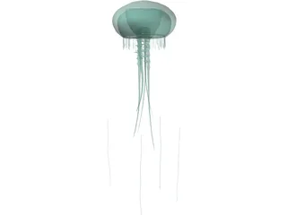 Jellyfish 3D Model preview