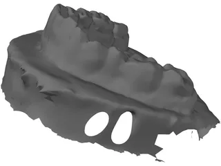 Teeth Stamp 3D Model preview