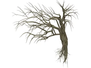 Dry Old Tree 3D Model preview