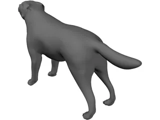 Dog 3D Model preview