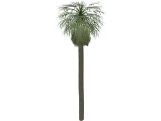 Tree Palm Washingtonia 3D Model preview