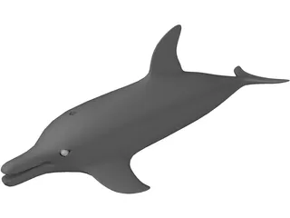 Dolphin 3D Model preview