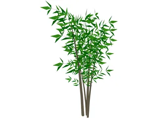 Bamboo Tree 3D Model preview