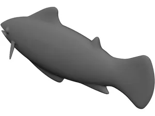 Salmon 3D Model preview
