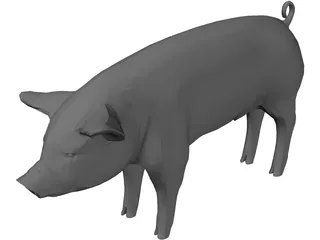Pig 3D Model preview