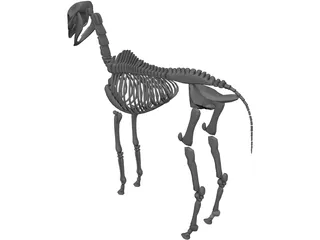 Horse Skeleton 3D Model preview